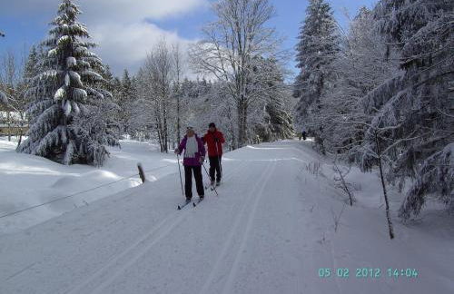 Ferienwohnung Hauptmann - Foto 29