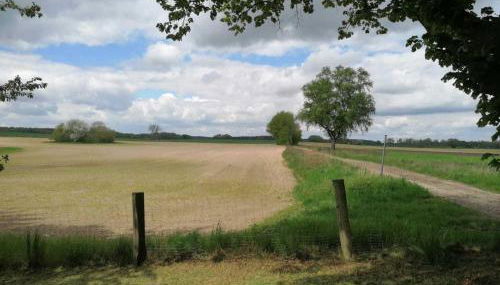 Ferienhaus bei der Müritz-Elde Wasserstraße - Photo 4