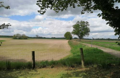 Ferienhaus bei der Müritz-Elde Wasserstraße - Photo 4