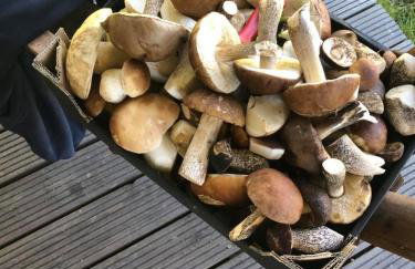 Osada Skoczkowo komfortowe domki z prywatnymi wannami hot-tub nad jeziorem- sauna- balia- prywatny staw wędkarski - Foto 65