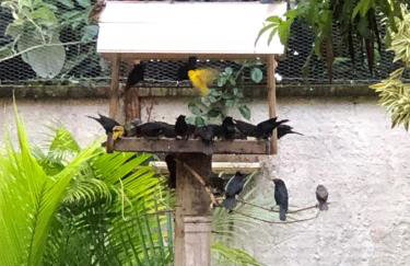 Casinha de Hóspedes - Foto 4