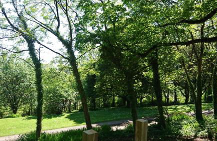 Pods at Broadway - Photo 37