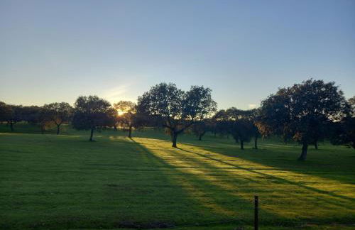 CASA RURAL LA HOJA EL VALLE - Foto 44