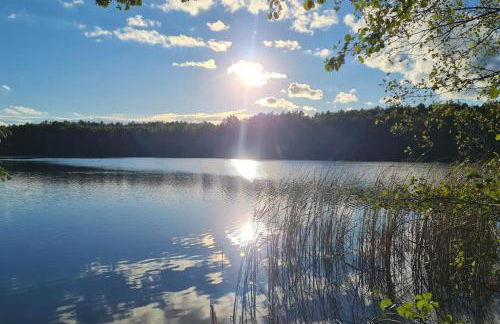Blockhaus an der Dahme , Ferienhaus - Foto 15