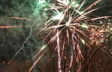 Ferienwohnung Jardin im Kunsthaus - Foto 69