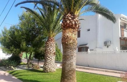 Bungalow Deluxe Gran Alacant - Photo 9