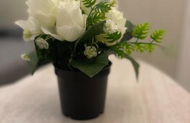 Le Signature Studio - Foto 19