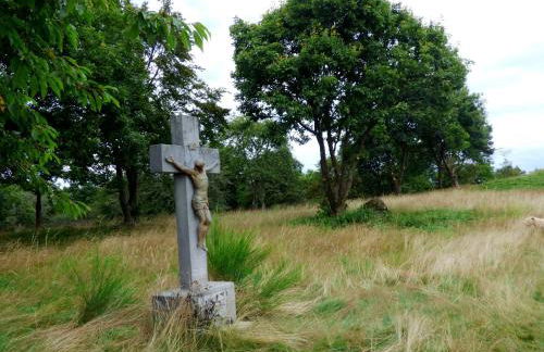 Relaxen am Eifelbach - Foto 12