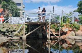 Casa da A'LICE - Photo 16