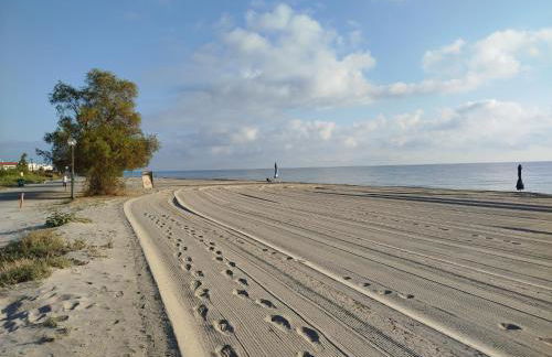 Harmony Apartments - Foto 73