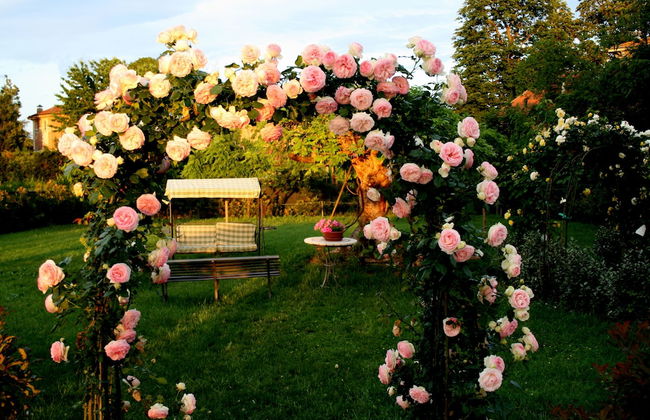 Agriturismo Argaland - Foto 65