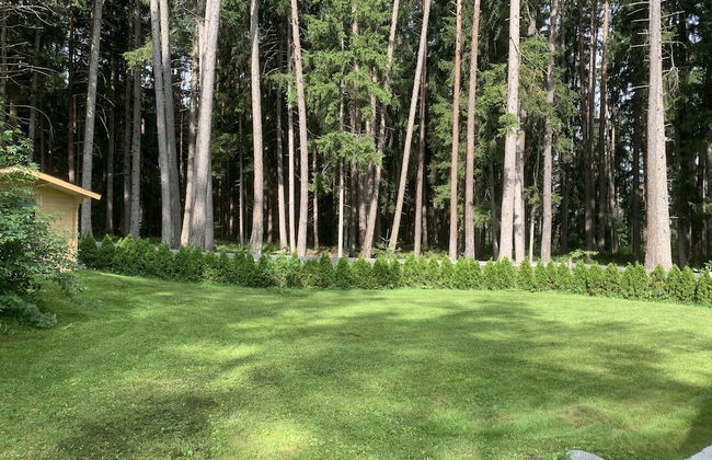 Waldchalet am Eichhof - Foto 21