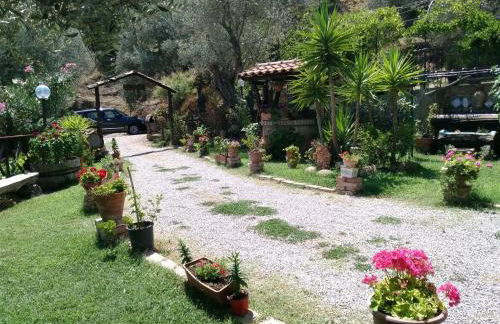 L'Uliveto - Foto 137