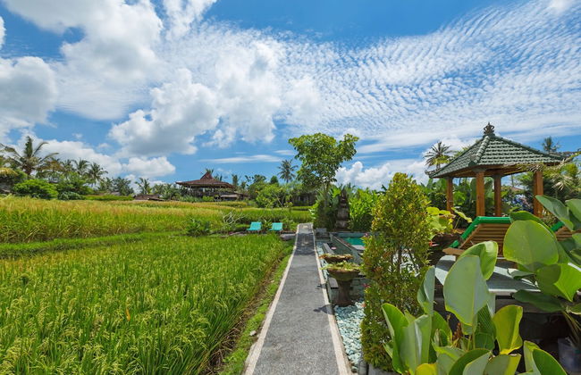 Cahaya Ubud Villa - Foto 65