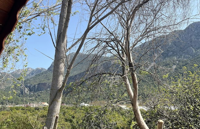 Adrasan Twin Aparts - Photo 8