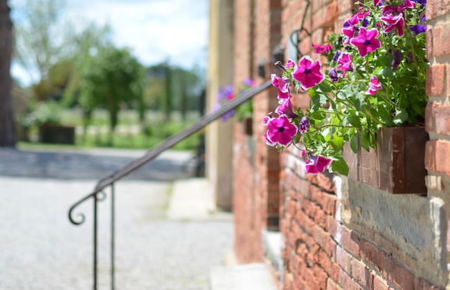 Cortona Resort - Le Terre Dei Cavalieri - Foto 75