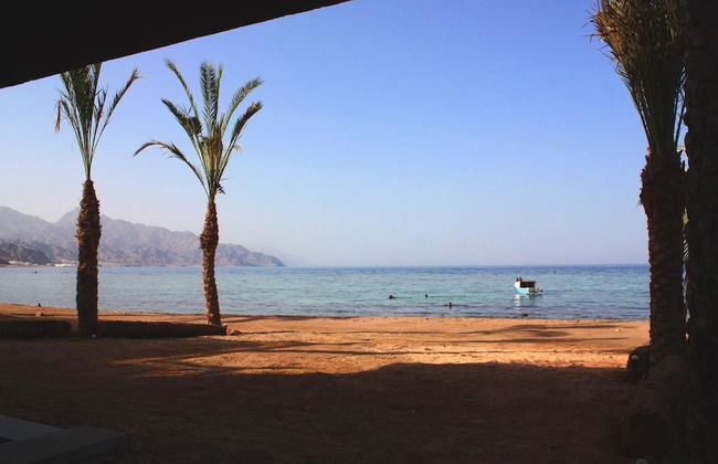 Dar Dahab - Foto 36