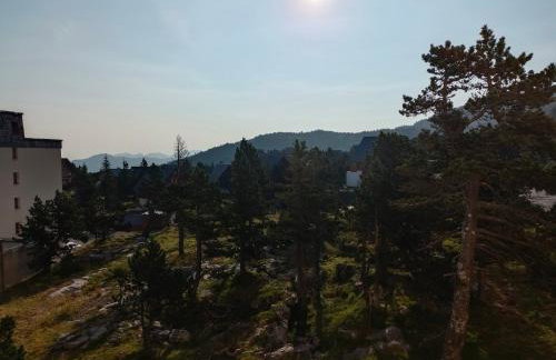 Les myrtilles La Pierre Saint Martin - Foto 8