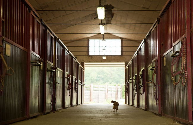 Agriturismo & Scuderia Fano's Farm - Foto 57