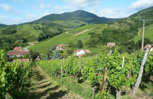 Appartement spacieux à Epfig avec vue sur le jardin - Foto 27