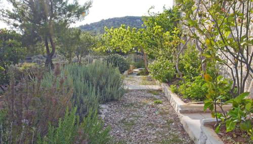 Apollo Beach House - Photo 3, Garden