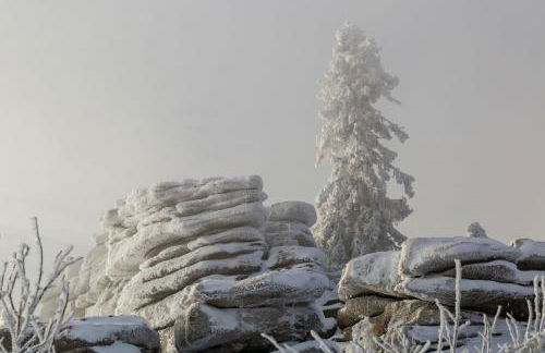 Ferienhaus im Bayerischen Wald - "Lindensalettl" mit Garten und Terrasse - Foto 49