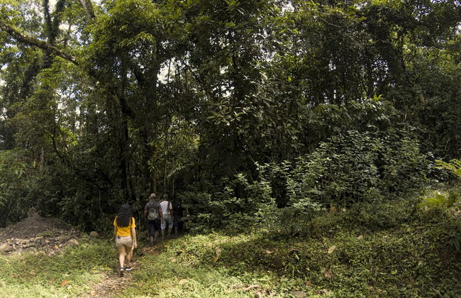 Oski Lodge - Foto 65