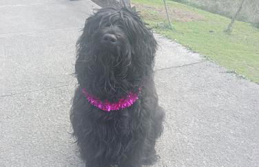 CHILL & ZEN - Caserío Itxaiz - - Photo 23