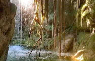 Casa Domingo - Photo 34