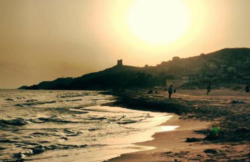 Timone d’oro - Foto 29