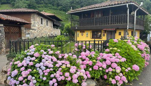 Finca del Hórreo - Foto 1, Garden