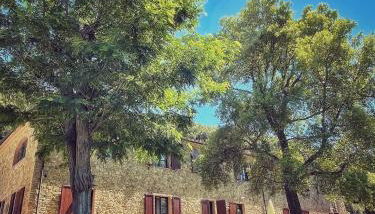 Il Casolare Val Di Mare - Foto 5