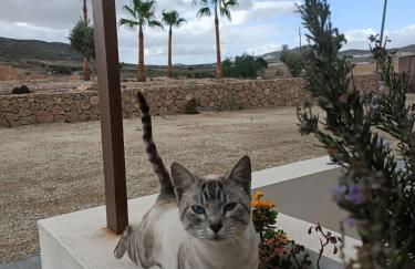 Apartamentos MadreSelva - Foto 35