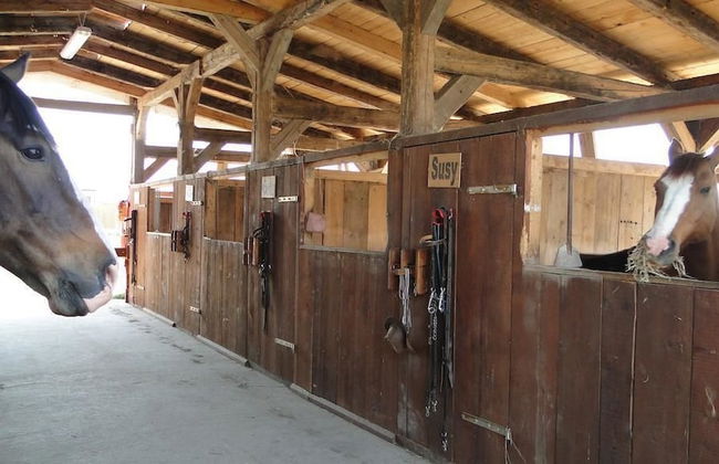 Agriturismo Tre Rondini - Foto 13