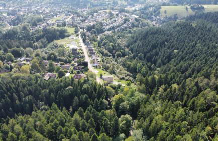 Ferienhaus Schatzhauser | Sauna & Wellness | Grosser eingezäunter (ab Mai 2026) Garten - Foto 31