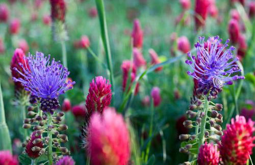 LA TERRAZZA DI PUGLIA - Foto 47