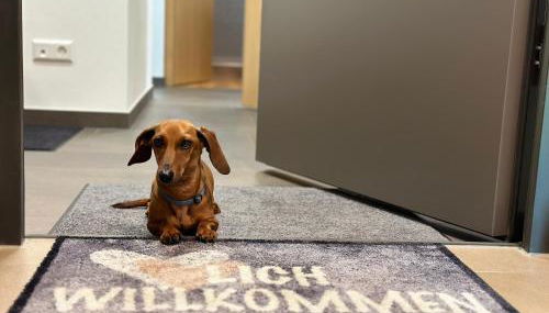 Ferienwohnung im Glockenziel - Foto 2