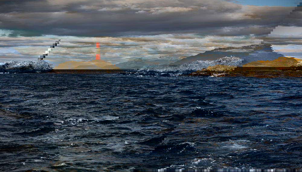 Paseo en yate por el Canal Beagle + Trekking por isla Bridges - Foto 1