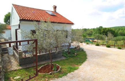 Spignoviza - Foto 22