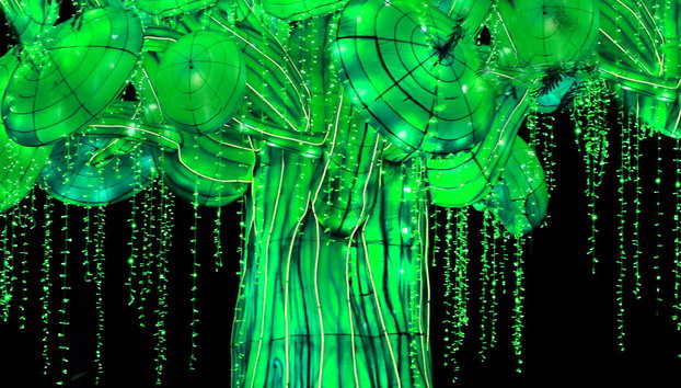 Dubai Garden Glow Tickets - Photo 3, Get ready to be captivated by this show