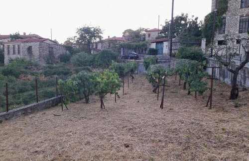 Το πετρόσπιτο - Foto 30