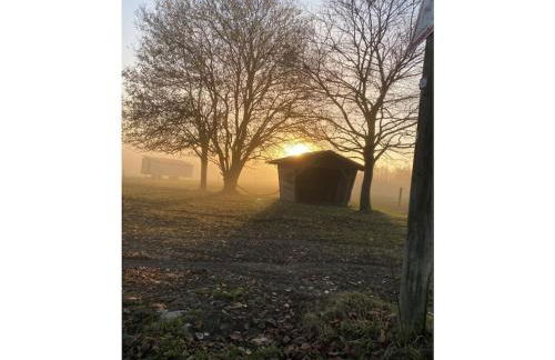 Holiday apartment with 2 bedrooms - Foto 35