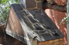 Il Verde Ulivo - Foto 22