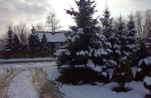 Domek Drewniany - Foto 44