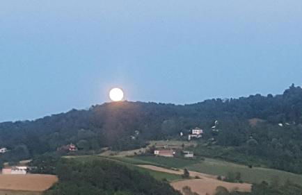 Allevamento B&B - Foto 33