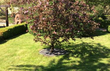 Ferienwohnungen Maedchen - Foto 96