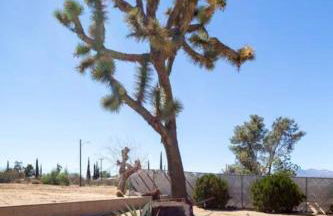 Skyview Stargazing Retreat with Hot tub and Tent - Foto 27