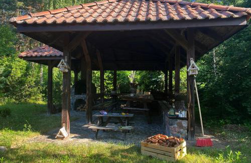 Szeroki Bór oaza w Puszczy z Sauną, Banią i Jacuzzi - Foto 26