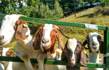 Apartment Haus Sembachtal - Foto 25