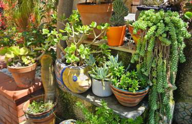 Villa Sicels - Agnone Beach - Syracuse - Foto 44